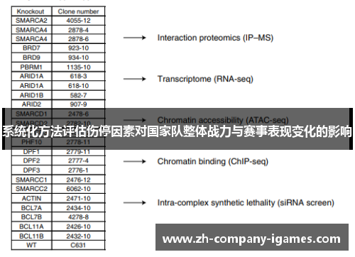 系统化方法评估伤停因素对国家队整体战力与赛事表现变化的影响 系统化方法评估伤停因素对国家队整体战力与赛事表现变化的影响