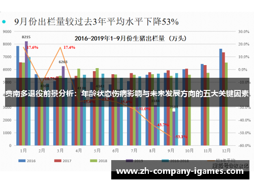 费南多退役前景分析：年龄状态伤病影响与未来发展方向的五大关键因素