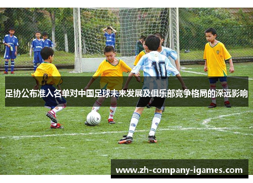 足协公布准入名单对中国足球未来发展及俱乐部竞争格局的深远影响 足协公布准入名单对中国足球未来发展及俱乐部竞争格局的深远影响